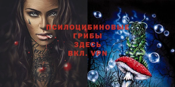 spice Медногорск