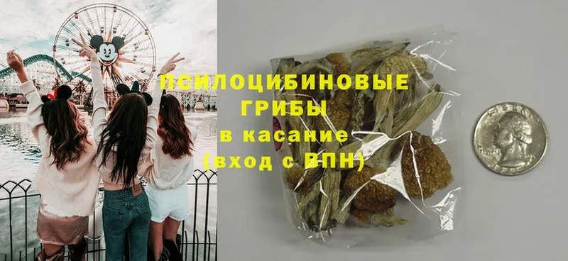 купить   Островной  mega зеркало  Псилоцибиновые грибы Psilocybe 