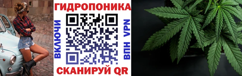 кракен как зайти  Островной  Бошки марихуана Bruce Banner 